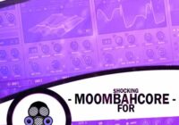 Shocking Moombahcore For Serum