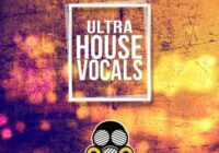 Vandalism Samples Ultra House Vocals WAV MIDI