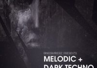 Bingoshakerz Melodic & Dark Techno WAV