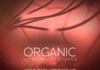 Bluezone Corporation Organic Lifeform Textures WAV
