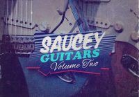 JJ Saucey Guitars Vol 2 WAV