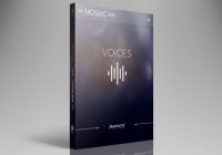 Mosaic Voices Kontakt Library