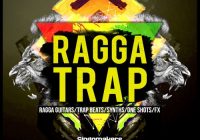 Singomakers Ragga Trap WAV REX PRESETS