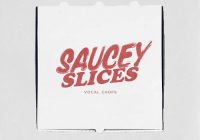 JJ Saucey Slices: Vocal Chops WAV