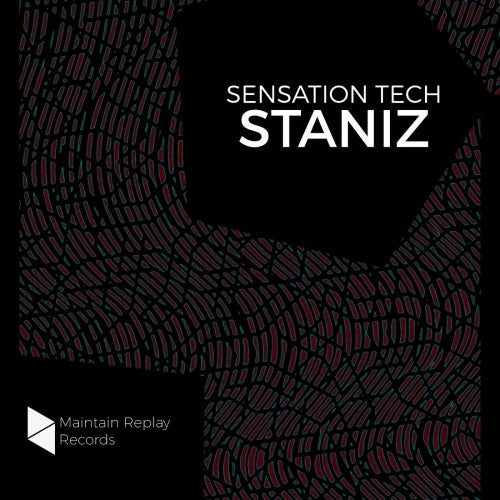 Maintain Replay Records Staniz Sensation Tech