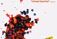 Treesound Mike Hector Mixed Berries (Drum Kit) WAV