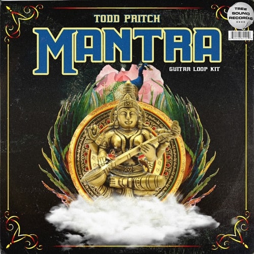 Todd Pritch Mantra (Guitar Loop Kit) WAV