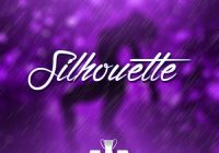 Award Winning Audio Silhouette WAV