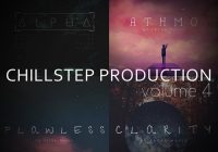 Freak Music - Chillstep Production 4 WAV MIDI PRESETS