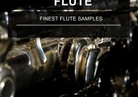 Image Sounds Flute 01 WAV