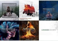 Laniakea Sounds Progressive Vocal Chops Bundle WAV