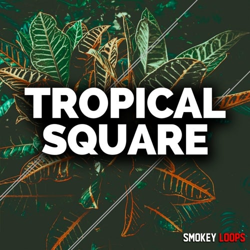 Smokey Loops Tropical Square WAV MIDI