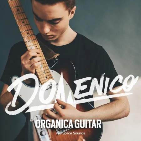Splice Sounds DOMENICO: Organica Guitar WAV