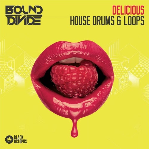 BOS Delicious House Drums & Loops WAV