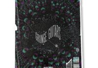 ProducerGrind The Grunge Guitars WAV + MIDI Loop Pack