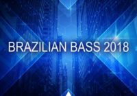 Triad Sounds Brazilian Bass 2018 WAV