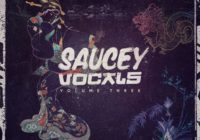 Saucey Vocals Volume 3 WAV