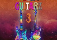Cartel Loops Astro Guitarz Vol.3 WAV