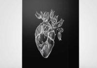 UrBan Nerd Beats Heart (Drum & Sample Pack) WAV