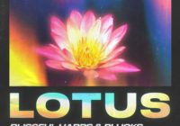 CPA Lotus: Blissful Harps & Plucks WAV