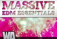 Massive EDM Essentials