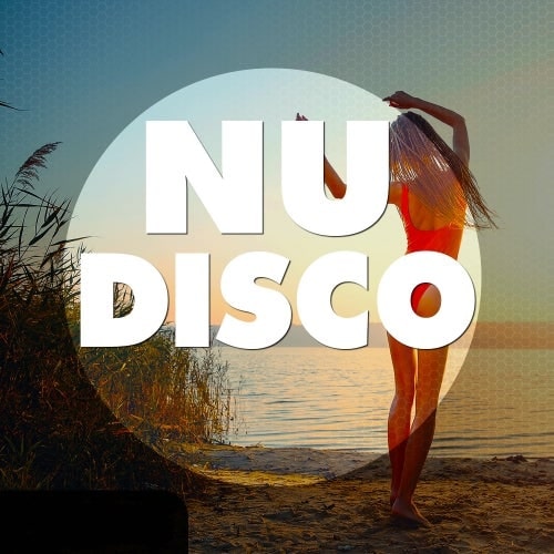 Nu Disco Sample Pack WAV MIDI PRESETS