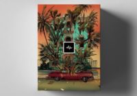 WavSupply Repko Dragonfruit Drum Kit WAV