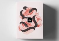 WavSupply Repko Scarlett (Loop Kit) WAV