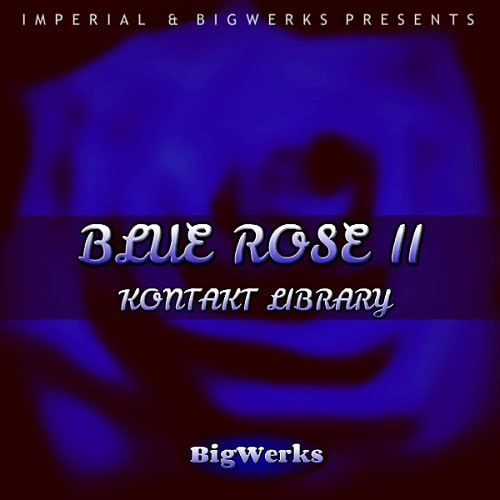 BigWerks Blue Rose II - Kontakt