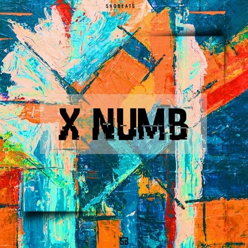 Shobeats X Numb WAV MIDI PRESETS