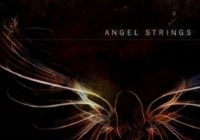 Auddict Angel Strings Vol.1 KONTAKT