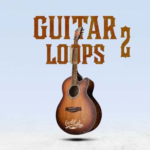 Cartel Loops Guitar Loops Vol.2 WAV
