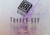 Splice Sounds DJ Taye Trippy Kit Vol. 1 Sample Pack WAV