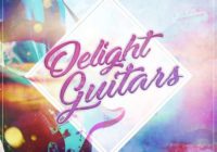 BEATS24-7 Delight Guitars WAV