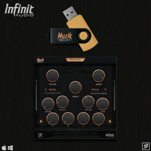 Infinit Essentials Infinit Guitars VST AU WIN & MacOSX
