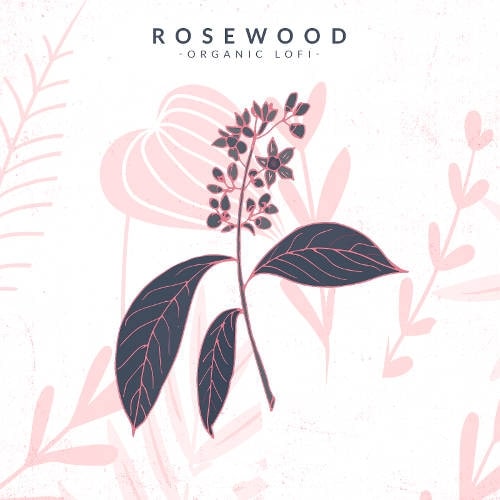 Rosewood: Organic Lo-Fi Sample Pack WAV