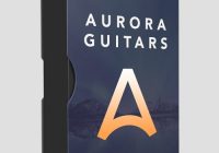 Echo Sound Works Aurora Guitars WAV
