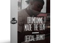 Drumdummie Made The Beat Kit WAV PRESETS