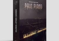 Silence + OtherSounds PAIN PIANO KONTAKT