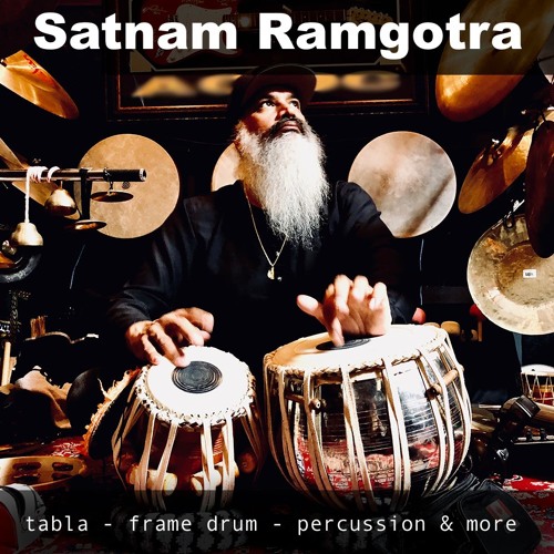 The Loop Loft Satnam Ramgotra Vol.1 WAV