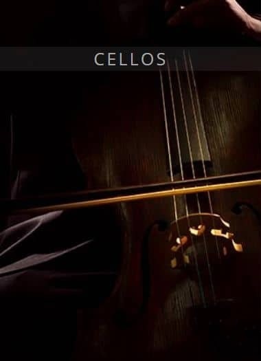 Auddict United Strings of Europe: Cellos KONTAKT