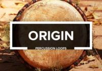 ORIGIN - Percussion Loops Sample Pack WAV
