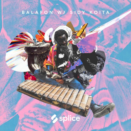 Splice Sessions Balafon with Sidy Koita WAV