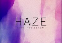 Unmüte Haze - Arps For Serum