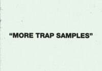 More Trap Samples: Trap & Hip Hop Sample Pack WAV