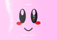 Pandi samples And Stuffs Vol.5 WAV MIDI FLP