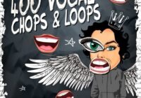 Singomakers 400 Vocal Chops & Loops Sample Pack