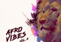King Loops Afro Vibes Vol.6 Sample Pack