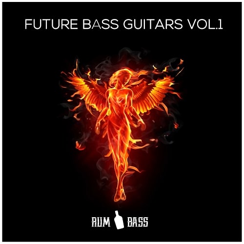 Rum n Bass Records Future Bass Guitars Vol.1 WAV