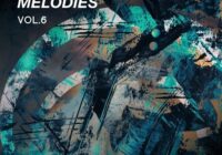Essential Audio Media Future Bounce Melodies Vol.6 MIDI